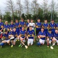 Juvenile Hurlers reach Semi-Final